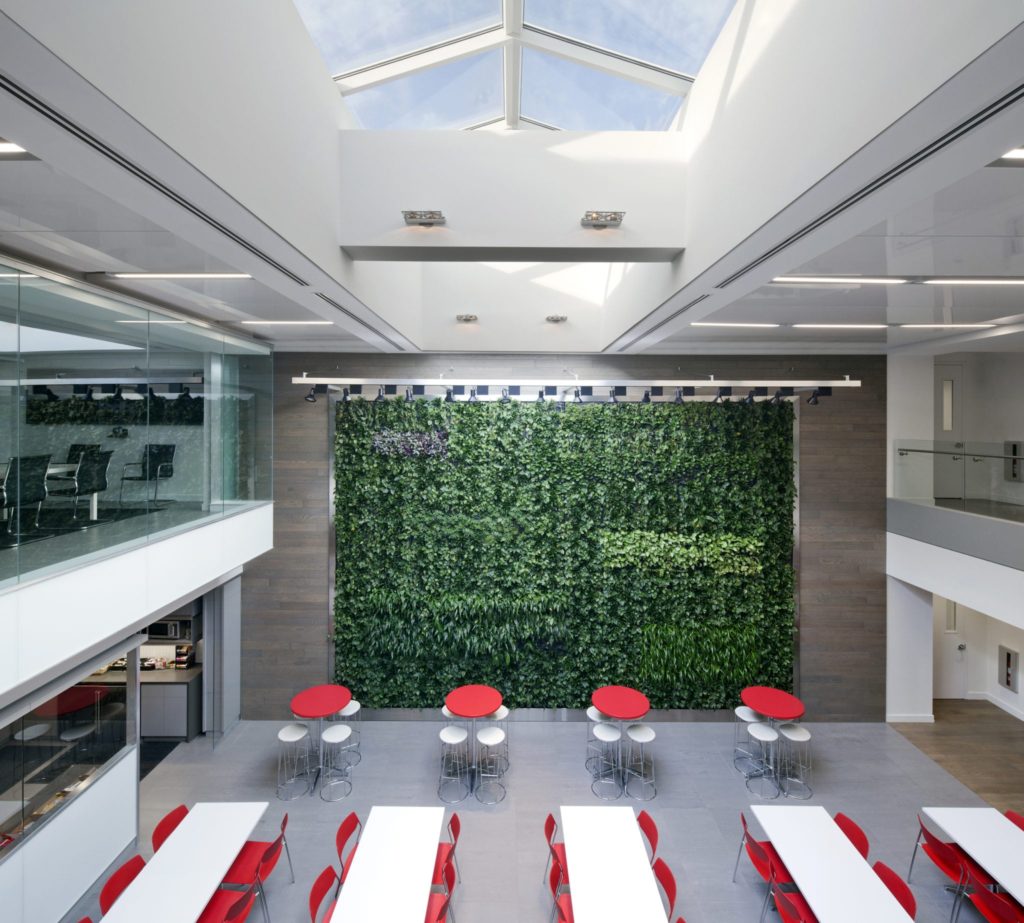 Large open air office space with plant wall and skylights